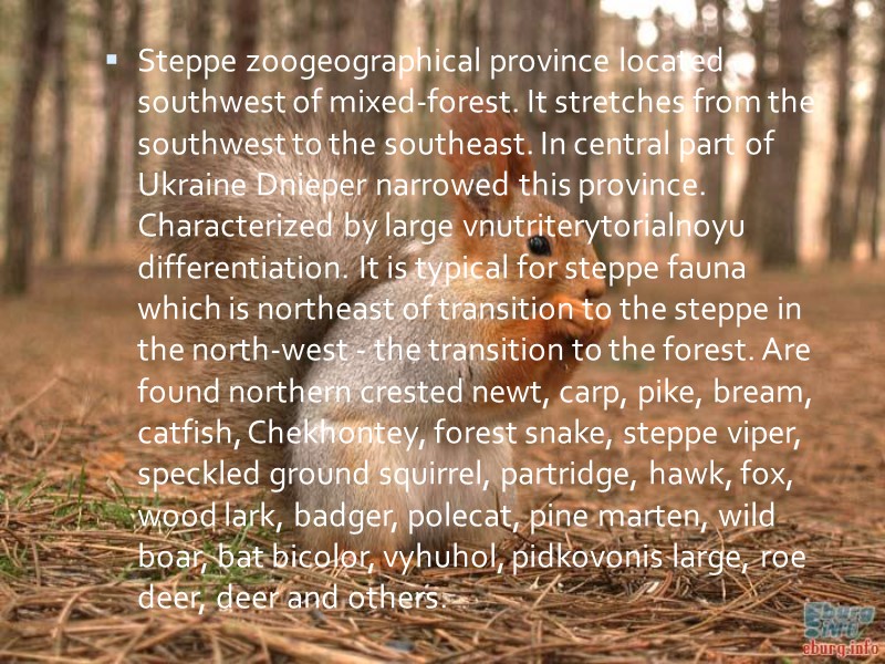 Steppe zoogeographical province located southwest of mixed-forest. It stretches from the southwest to the